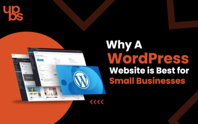 Why a WordPress Website is Best for Small Businesses