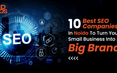 10 Best SEO Companies in Noida to Turn Your Small Business into Big Brand