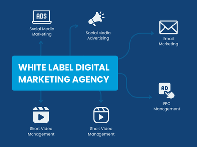 Social Media Management